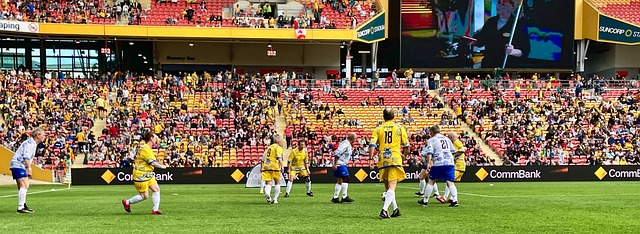 罚款与吊销 罚款与吊销