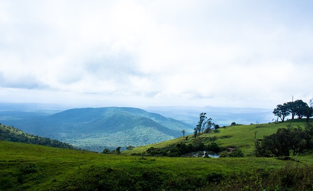 问题的典型 问题的典型