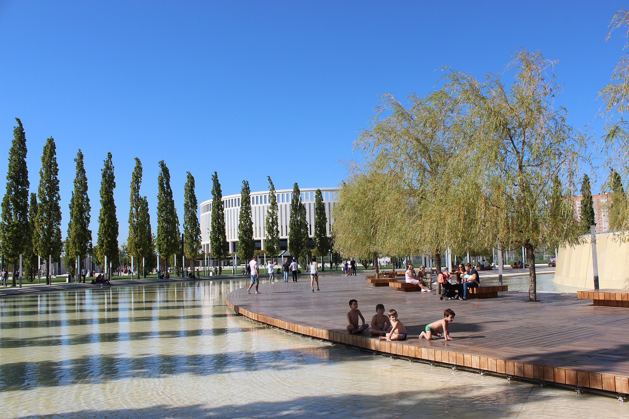 棒球的舞台 棒球的舞台