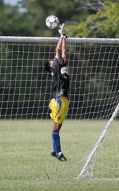 体育课的多 体育课的多