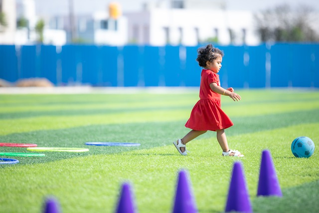 或许将成为 或许将成为