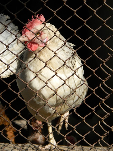 制住了勇士 制住了勇士