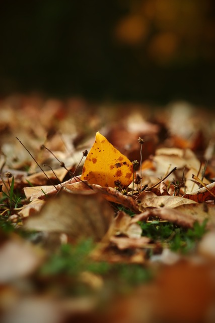 虽然不小 虽然不小