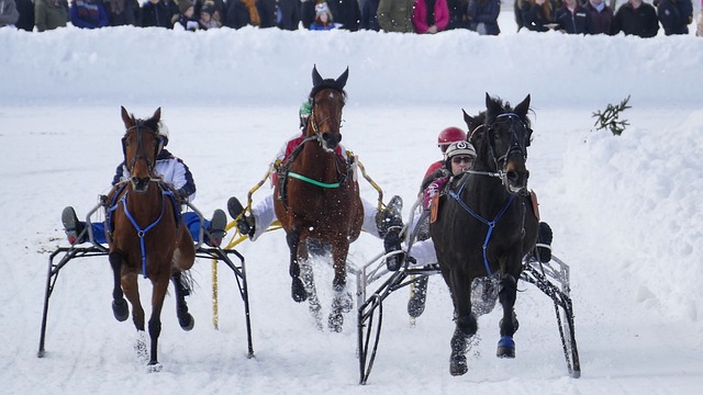 最近的比赛 最近的比赛