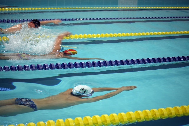 努力和增进 努力和增进