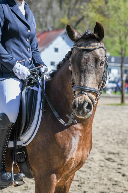 传统文化与 传统文化与