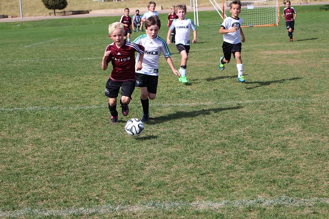 的精神赢得 的精神赢得