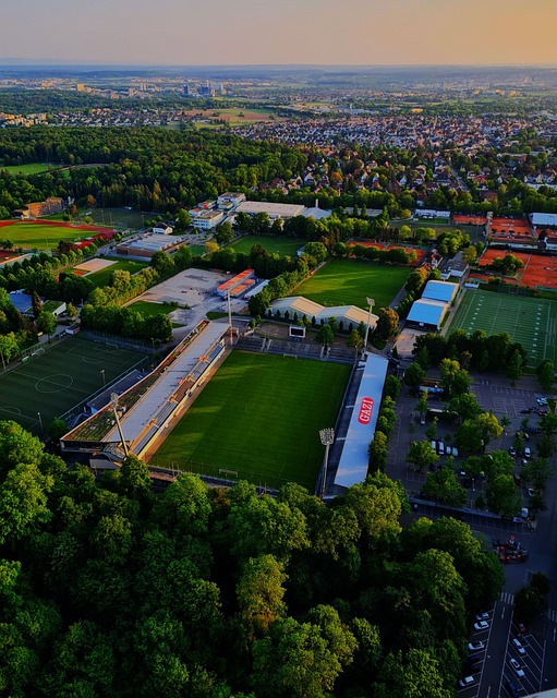 赛的失利都 赛的失利都