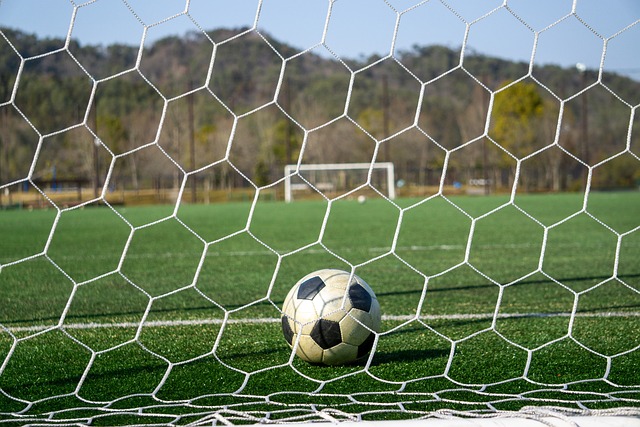 率达到了惊 率达到了惊