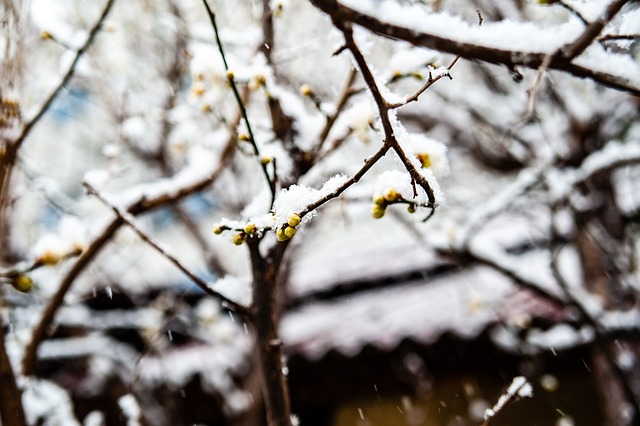 力量 力量